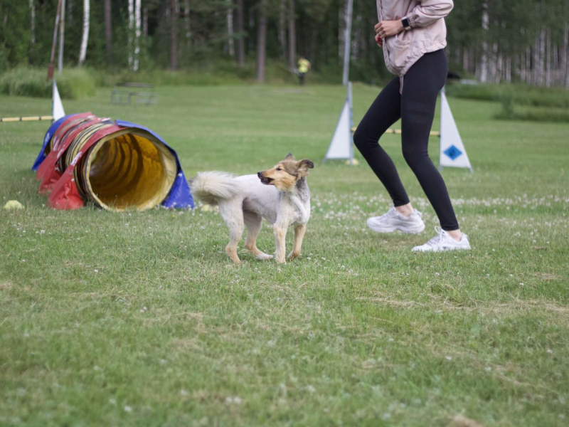 Juni och Josefine BILD: Emelie Johansson