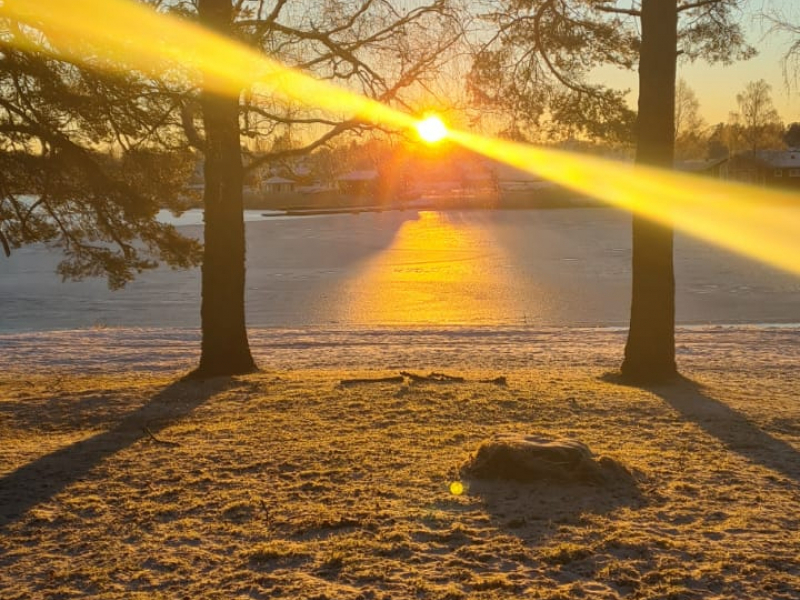 Solen är uppe, vakna och lämna din ensamhet BILD: Mahdieh Zahedi