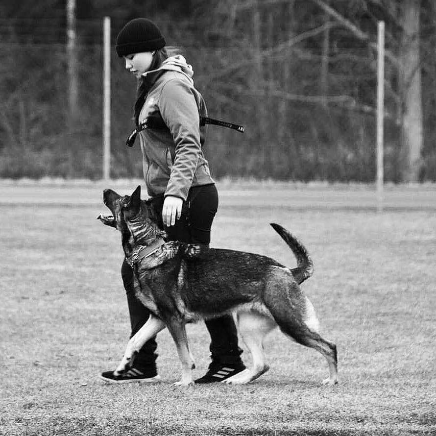 Alva med sin schäfer Impa BILD: Alva Svedberg