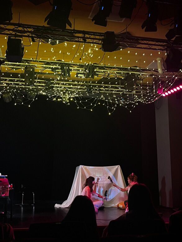 Who was I when I wanted to be. Negru Patricia