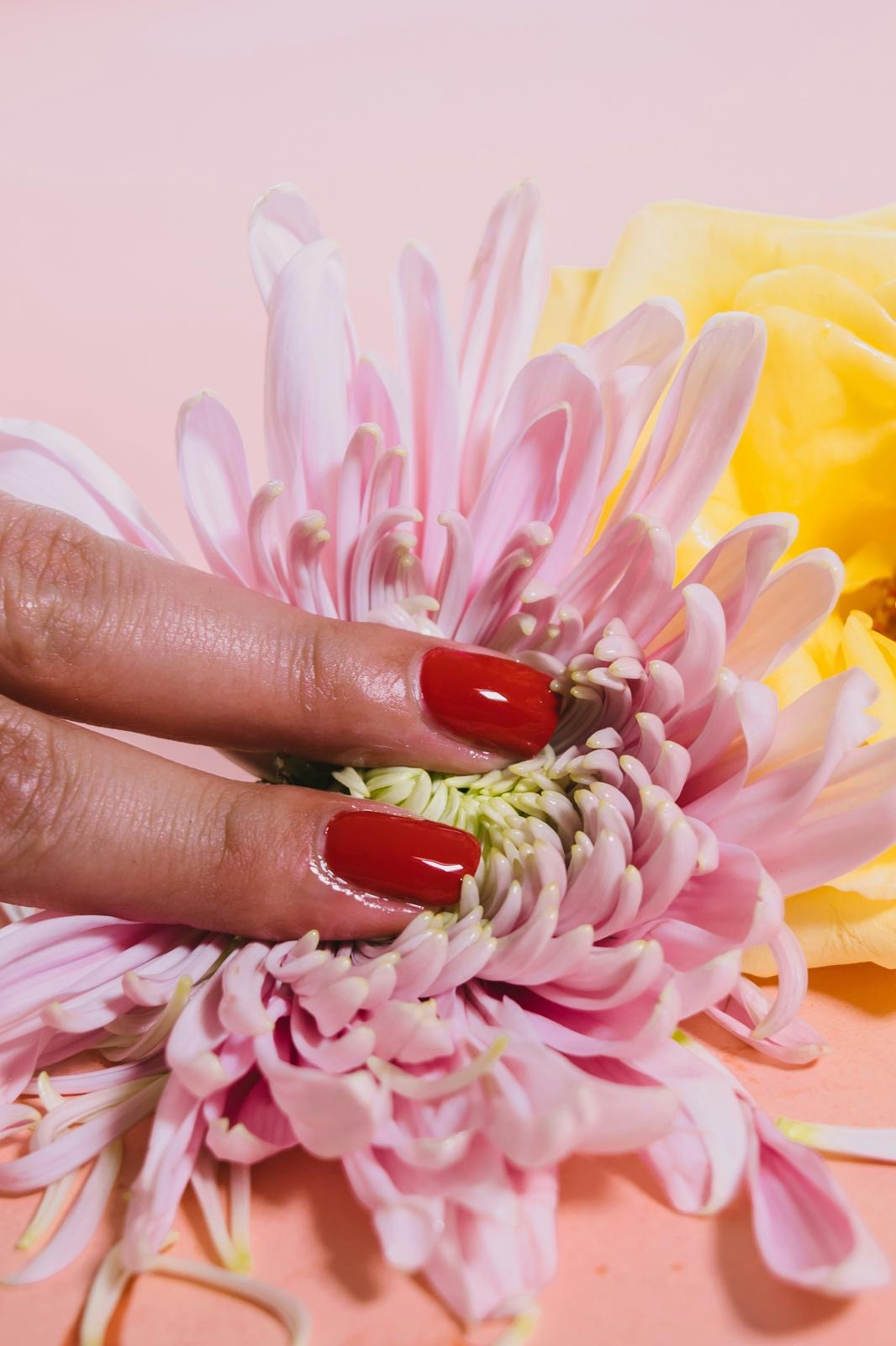 Blooming flower https://unsplash.com/s/photos/sex-ed-in-schools