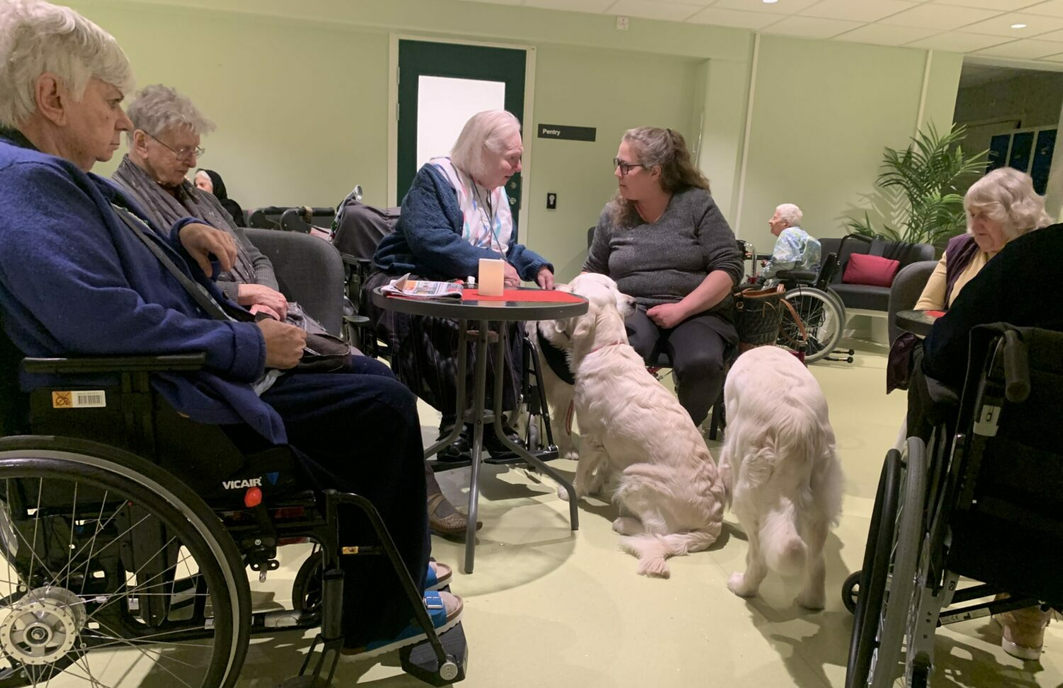 Bild från ett ålderdomshem med terapihundar Zooplus.se