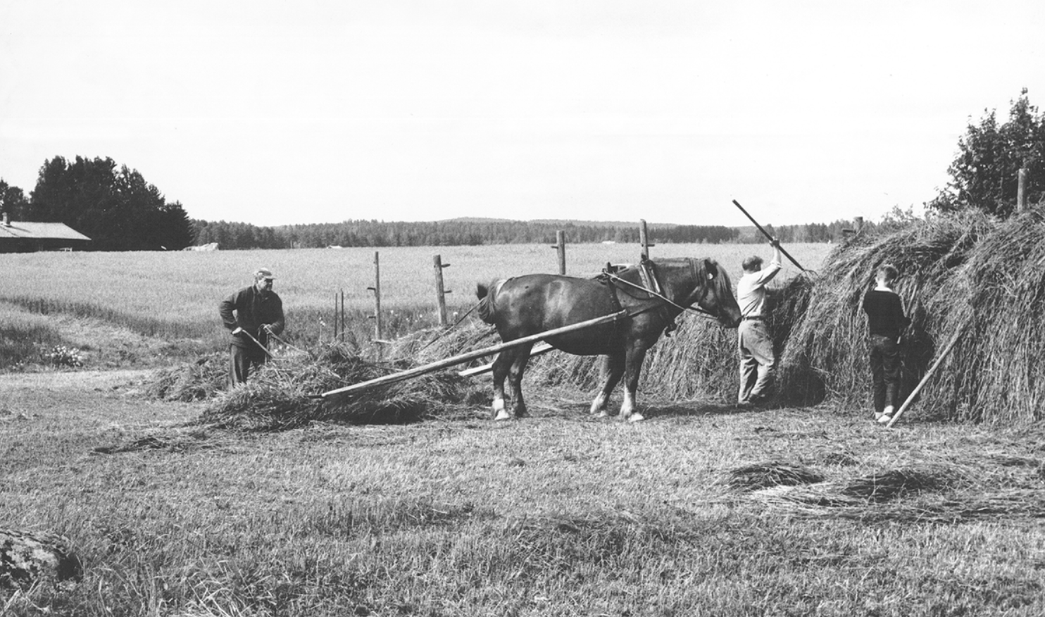 1800-talets jordbrukssamhälle digitalmuseum.se