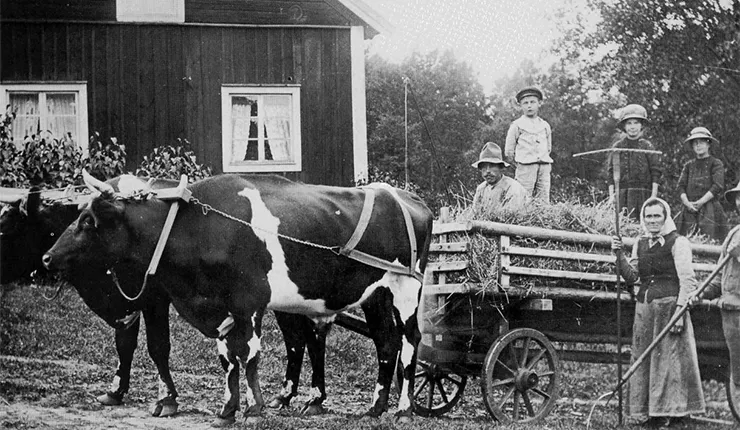 informationsverige.se