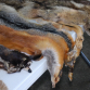 https://www.bornfree.org.uk/news/time-to-end-the-fur-trade-in-britain/