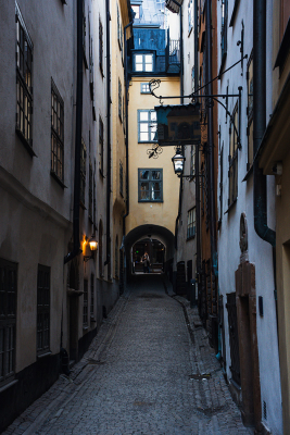 Héloïse Appourchaux